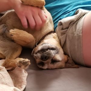 Meet your Posher, Dustyn